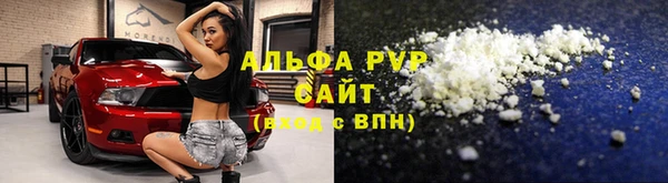 стаф Аркадак