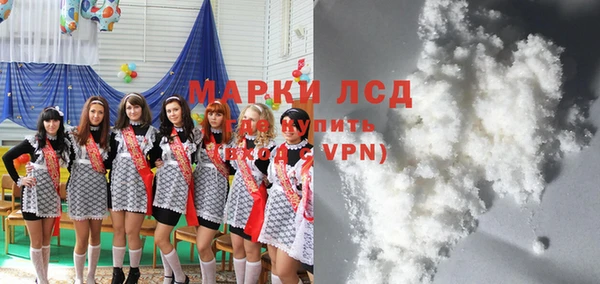 стаф Аркадак