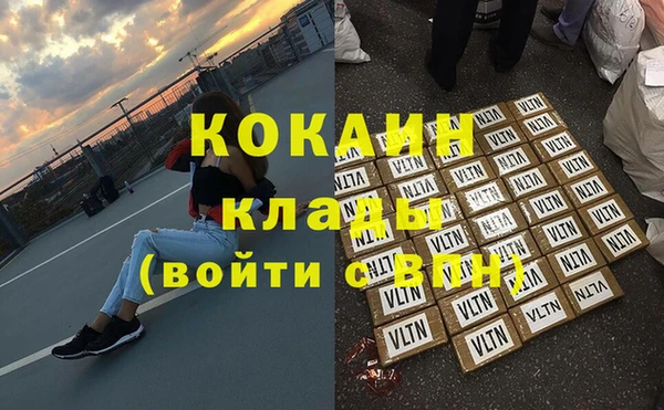 стаф Аркадак
