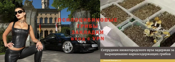 стаф Аркадак