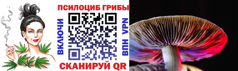 Псилоцибиновые грибы MAGIC MUSHROOMS Белгород