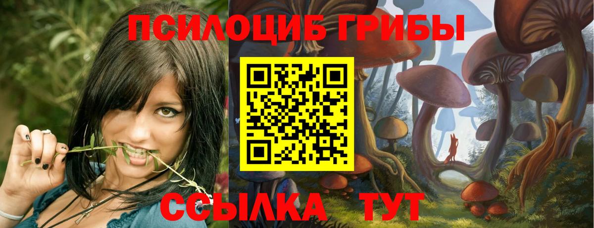 Галлюциногенные грибы Psilocybe  Псилоцибиновые грибы мицелий  Белгород  Вход с VPN 