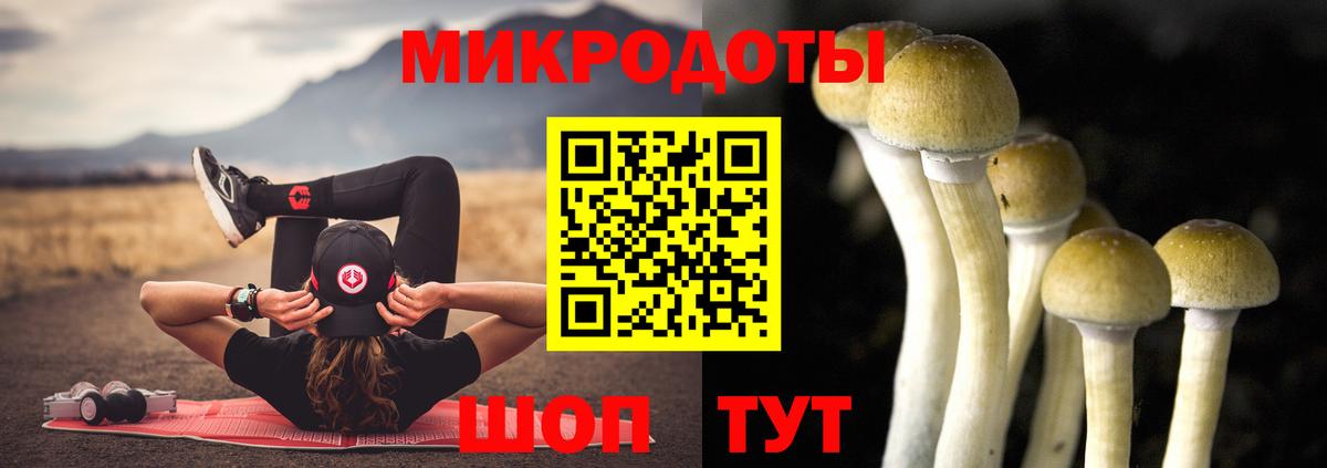 Псилоцибиновые грибы мухоморы Белгород